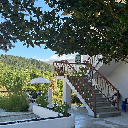 Vila Casa Vicente Lamego Exteriér fotografie