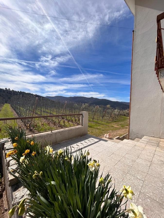 Vila Casa Vicente Lamego Exteriér fotografie
