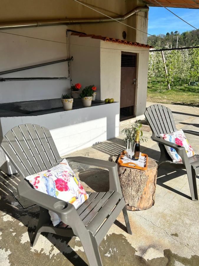 Vila Casa Vicente Lamego Exteriér fotografie