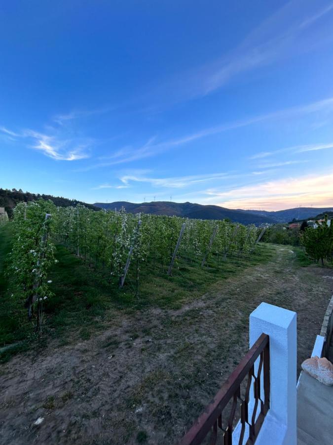 Vila Casa Vicente Lamego Exteriér fotografie