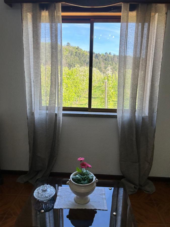 Vila Casa Vicente Lamego Exteriér fotografie