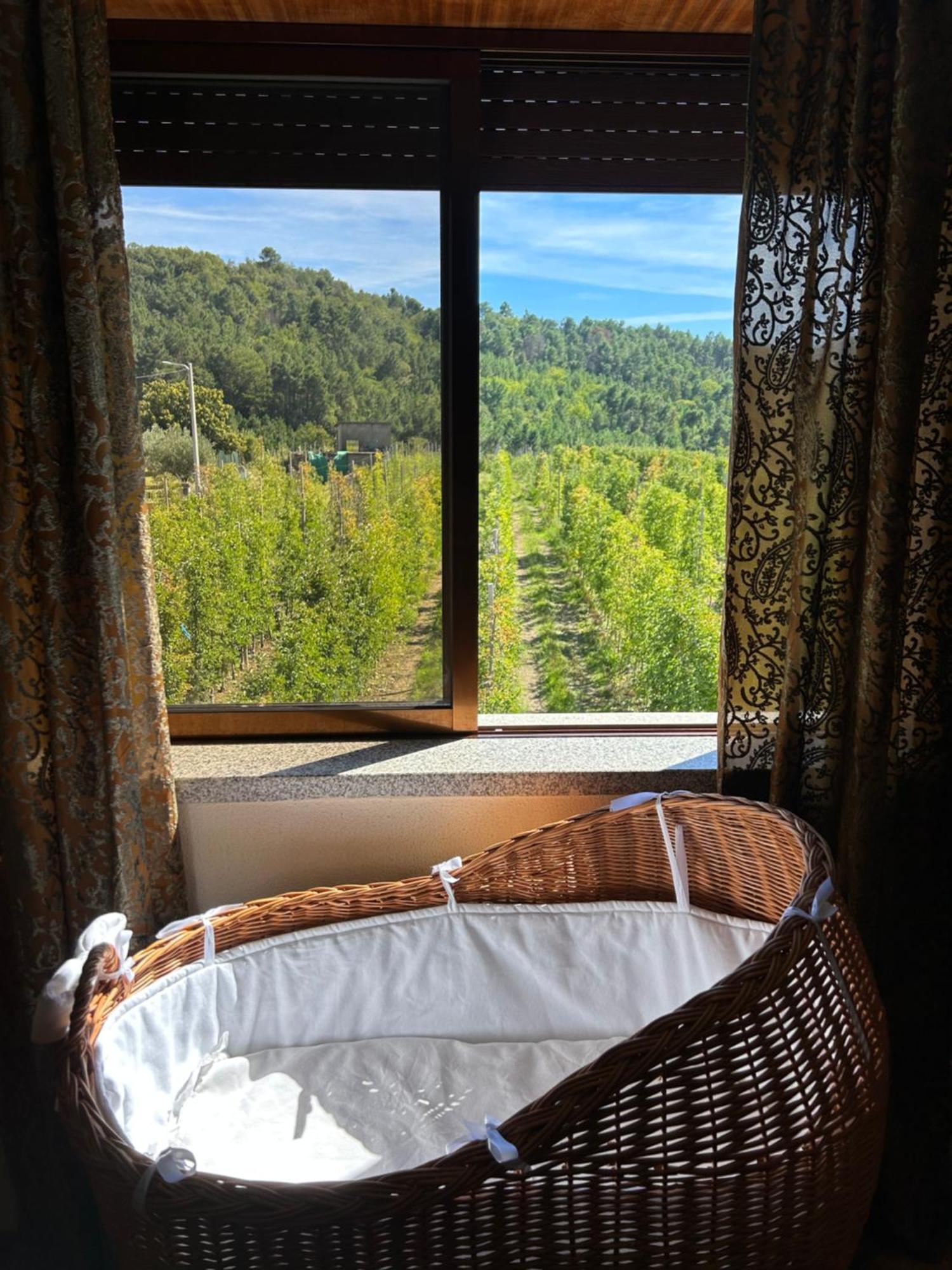 Vila Casa Vicente Lamego Exteriér fotografie