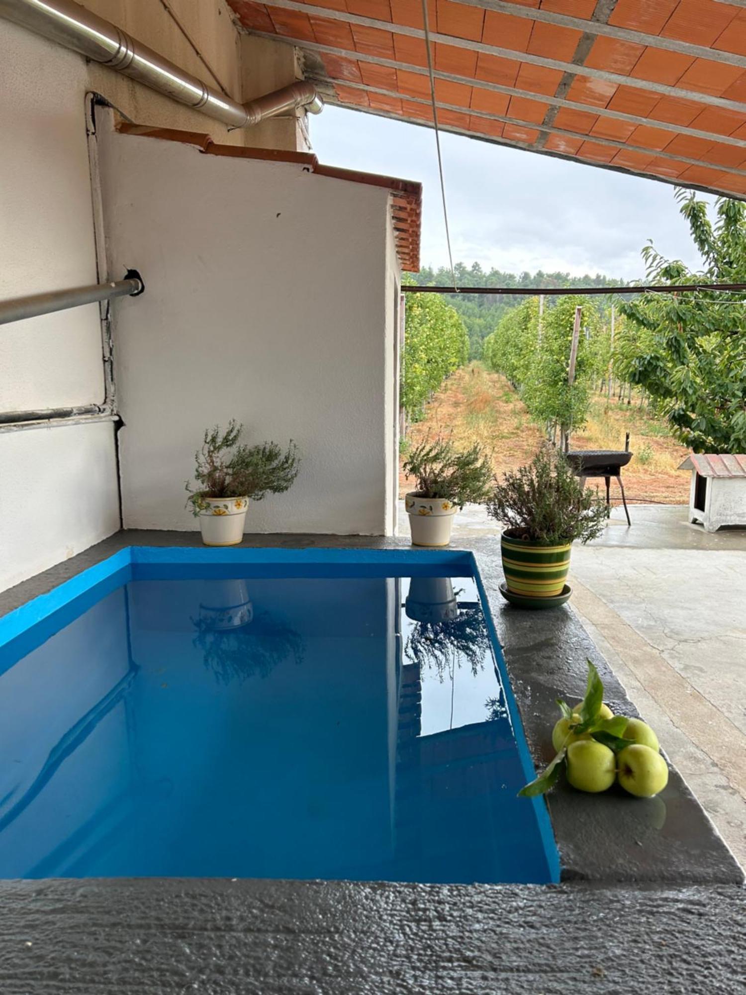 Vila Casa Vicente Lamego Exteriér fotografie