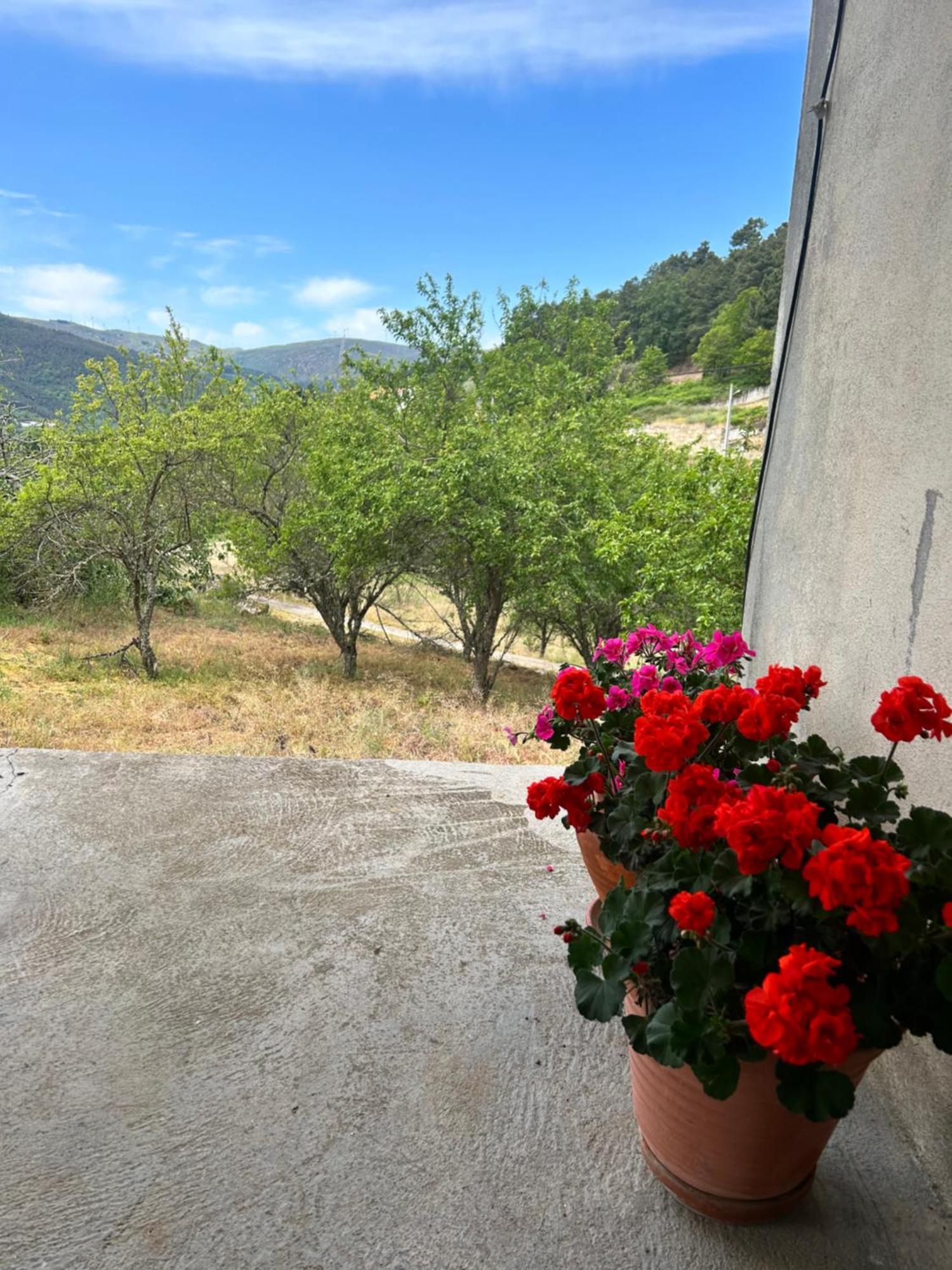 Vila Casa Vicente Lamego Exteriér fotografie