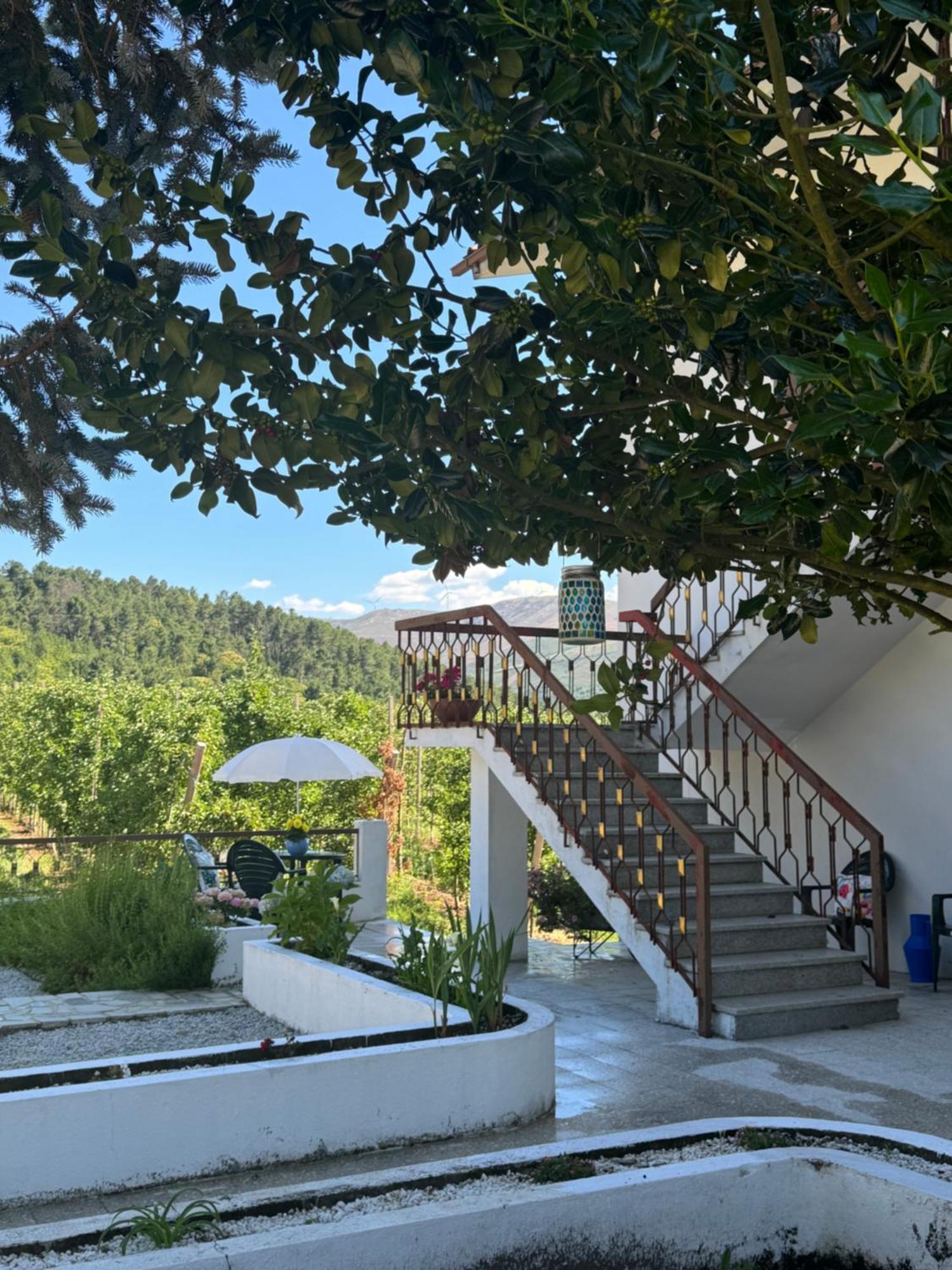 Vila Casa Vicente Lamego Exteriér fotografie