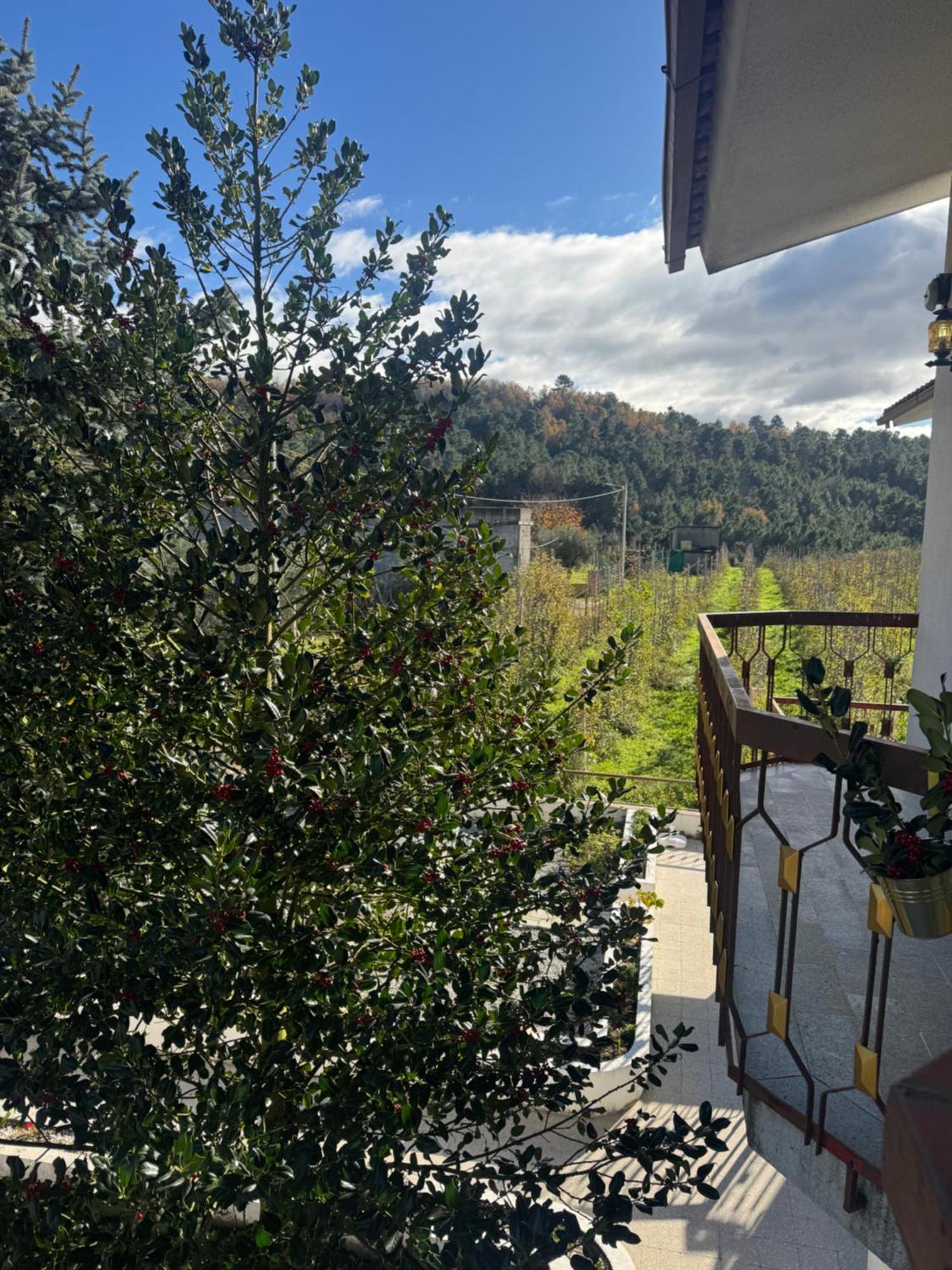 Vila Casa Vicente Lamego Exteriér fotografie